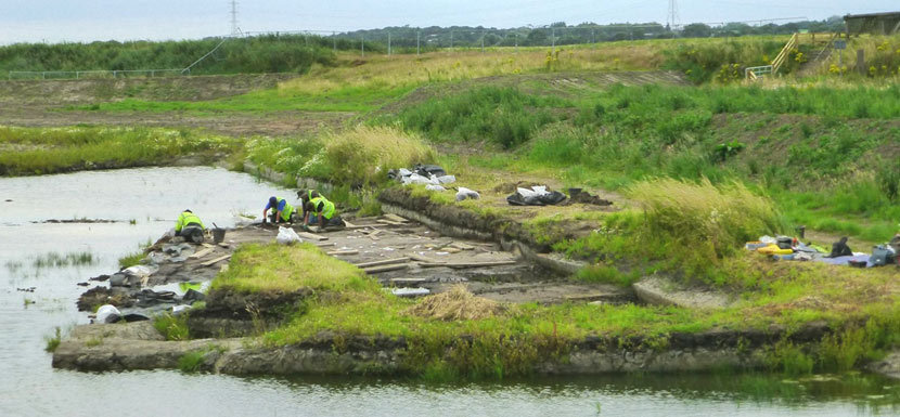 Lunt Meadows: Ancient Mesolithic Scousers