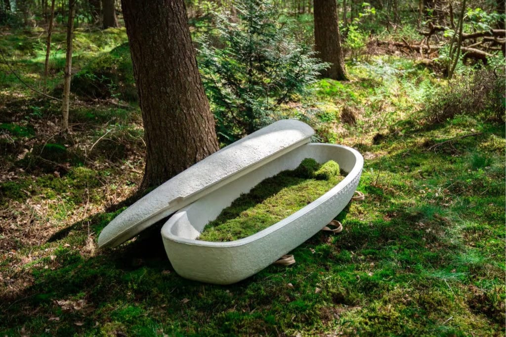 An open, eco-friendly coffin filled with moss sits in a sunlit, lush forest, surrounded by trees and greenery, conveying a serene, natural atmosphere.