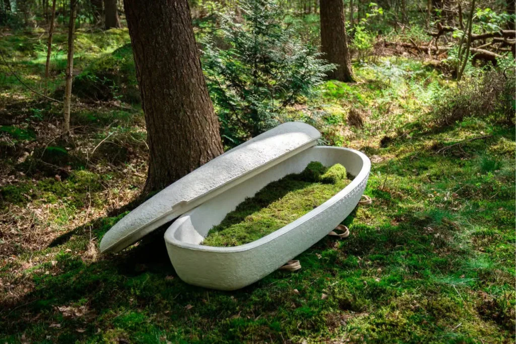 An open, eco-friendly coffin filled with moss sits in a sunlit, lush forest, surrounded by trees and greenery, conveying a serene, natural atmosphere.