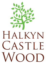 Logo for Halkyn Castle Wood with a stylized green tree above the text. The tree has a twisting trunk and leafy branches, conveying nature and growth.