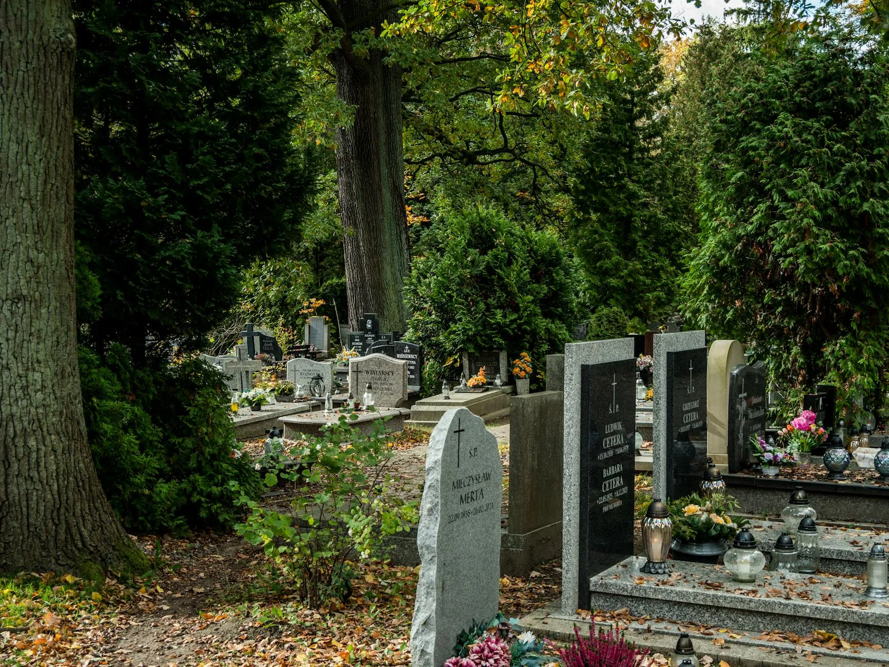 serene cemetery scene with tombstones and trees